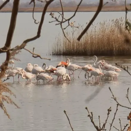 Kamp alanı Lagoon View *